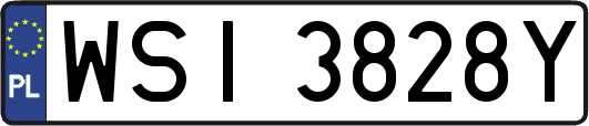 WSI3828Y