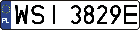 WSI3829E
