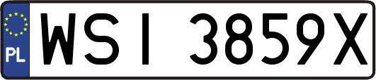 WSI3859X