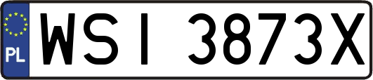 WSI3873X