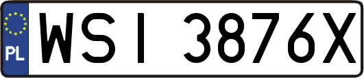 WSI3876X