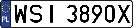 WSI3890X