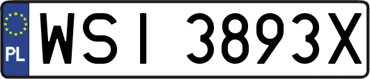WSI3893X