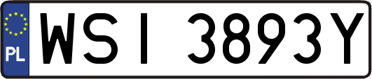 WSI3893Y