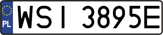 WSI3895E