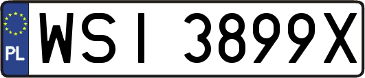 WSI3899X