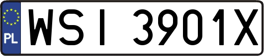 WSI3901X
