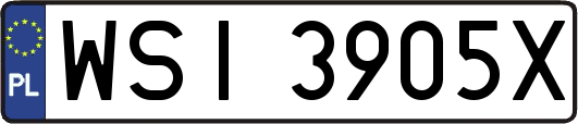 WSI3905X