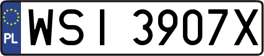 WSI3907X