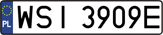 WSI3909E