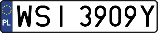 WSI3909Y