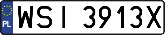 WSI3913X