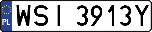 WSI3913Y