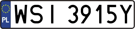 WSI3915Y