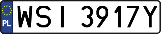 WSI3917Y