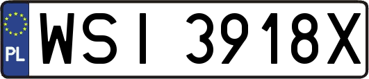 WSI3918X