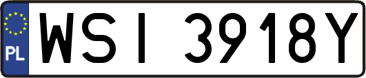 WSI3918Y
