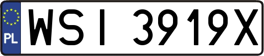 WSI3919X