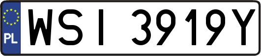 WSI3919Y