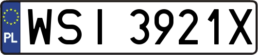 WSI3921X