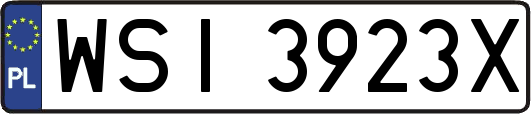 WSI3923X
