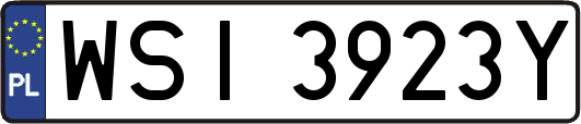 WSI3923Y