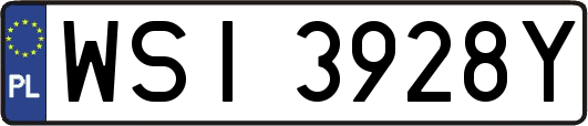 WSI3928Y