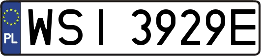 WSI3929E