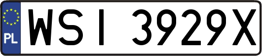 WSI3929X