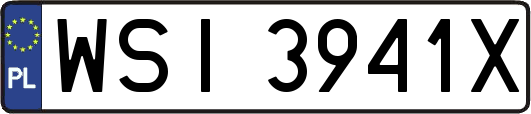 WSI3941X