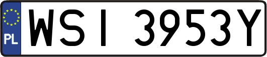 WSI3953Y