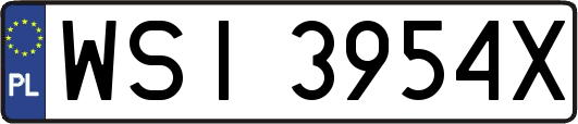 WSI3954X