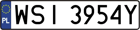 WSI3954Y