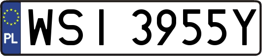 WSI3955Y