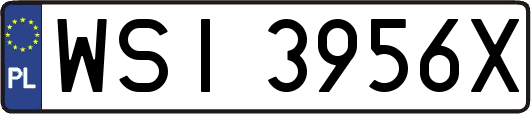 WSI3956X