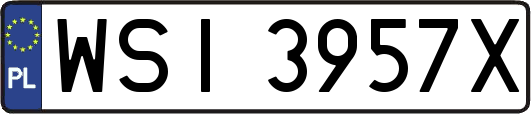 WSI3957X