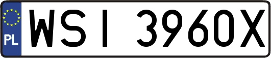 WSI3960X