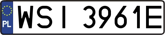 WSI3961E