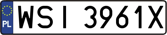 WSI3961X