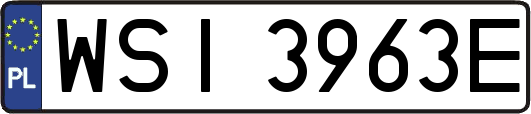 WSI3963E