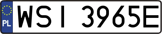 WSI3965E