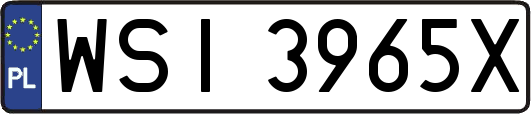 WSI3965X