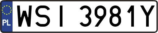 WSI3981Y