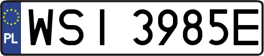 WSI3985E