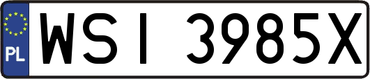 WSI3985X