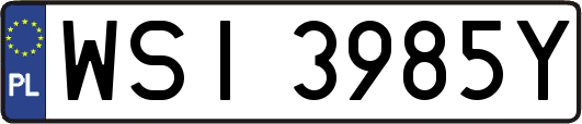 WSI3985Y