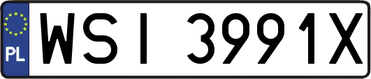 WSI3991X