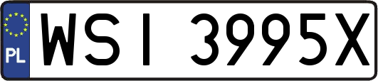WSI3995X