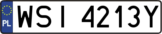 WSI4213Y