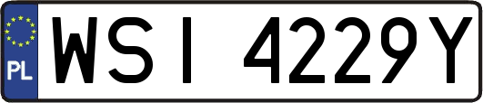 WSI4229Y